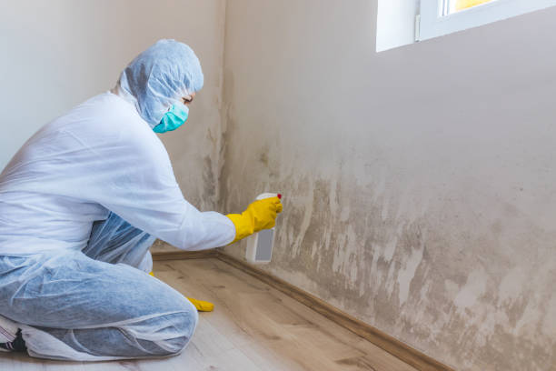 Licensed Commercial Mold Remediation service in Saratoga, NC - WQB Mold Removal