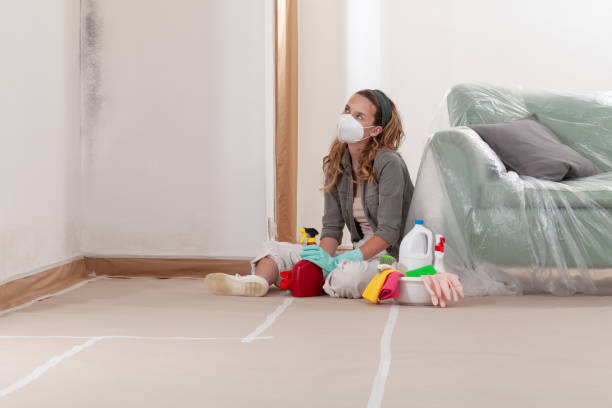 Reliable Commercial Mold Remediation contractor in Saratoga, NC by WQB Mold Removal